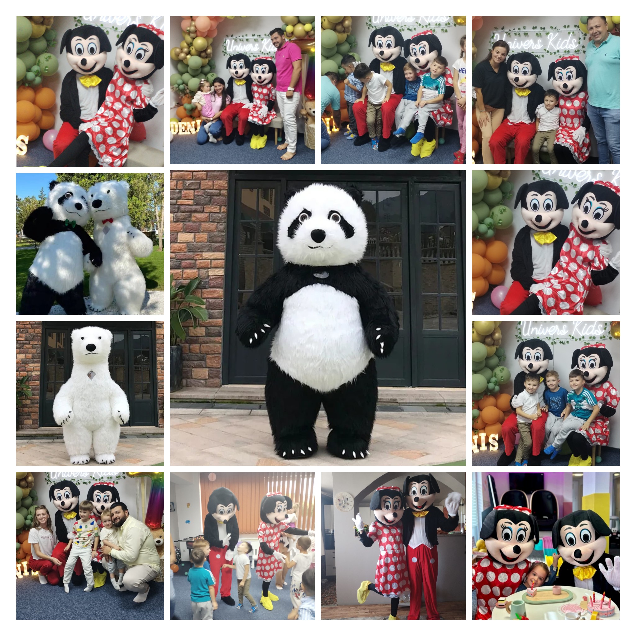 Mascota Panda