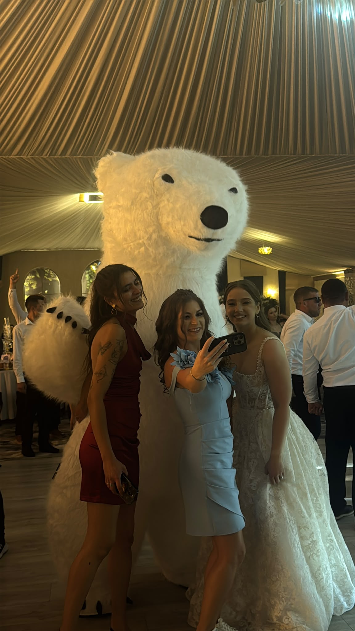 Ursul Alb surprinde invitații la o nuntă elegantă